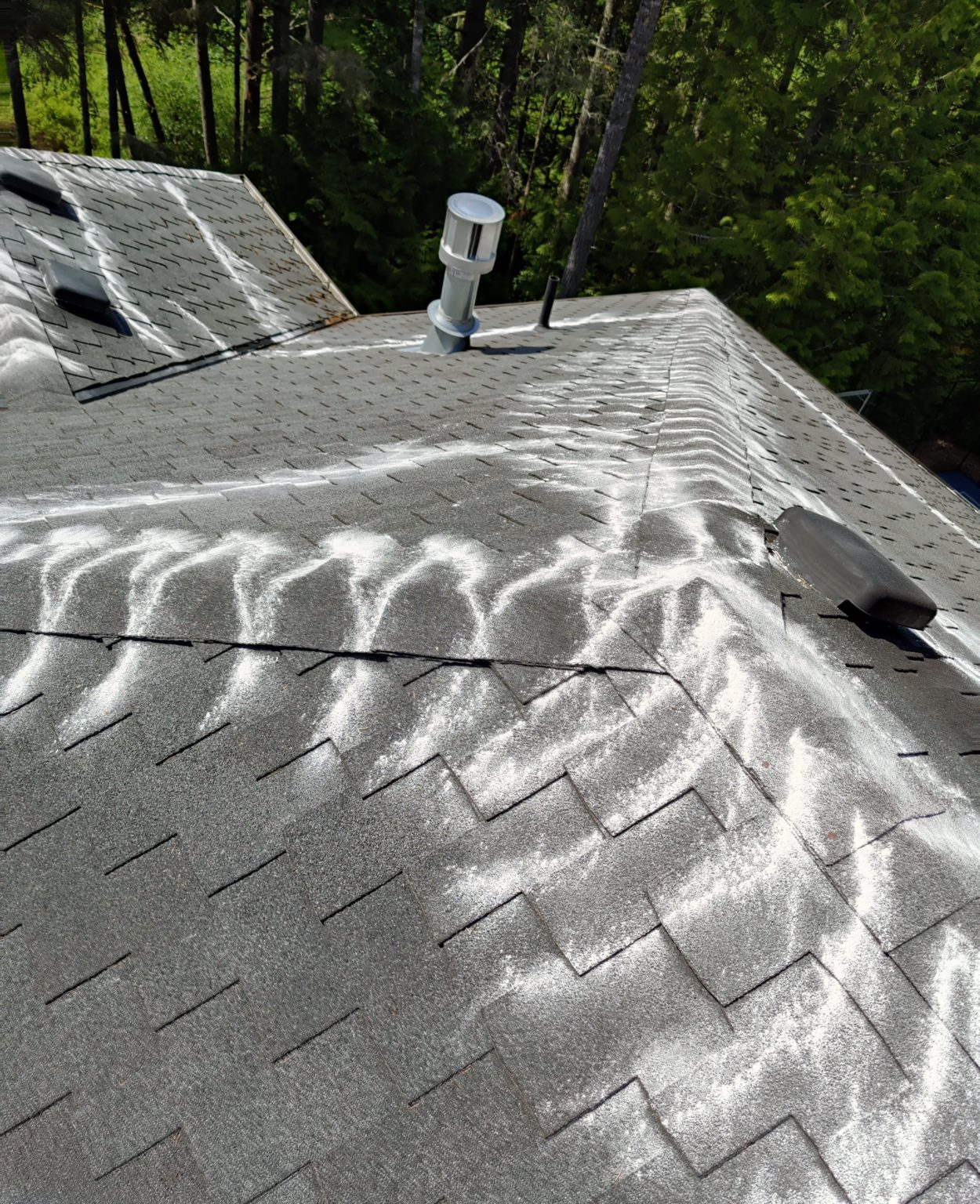 How Often Should You Treat Your Roof For Moss