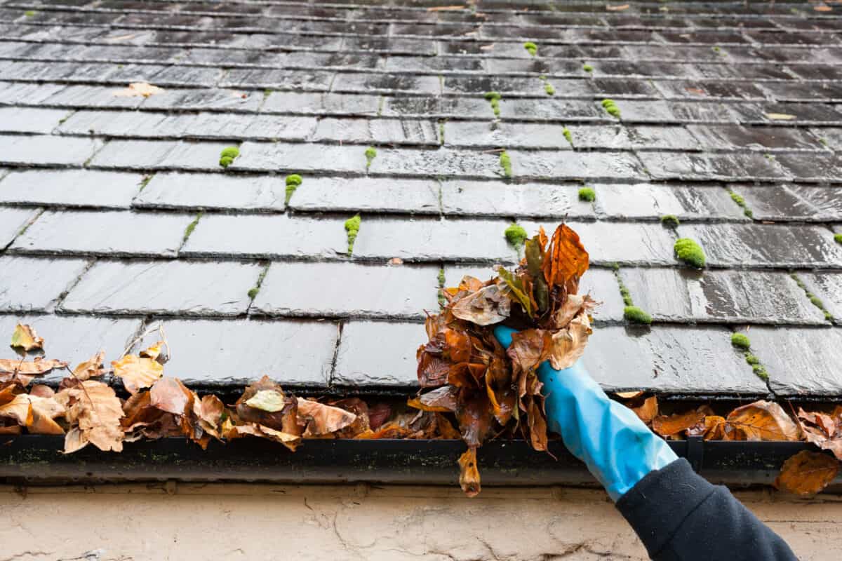 Professional gutter cleaning service iin Gig Harbor, WA