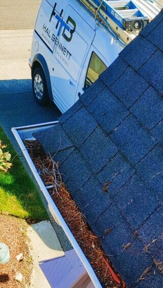 professional gutter cleaning service