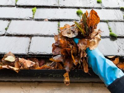 roof cleaning service